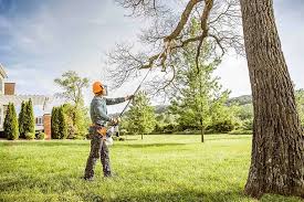 Roodhouse, IL Tree Removal and Landscaping Services Company